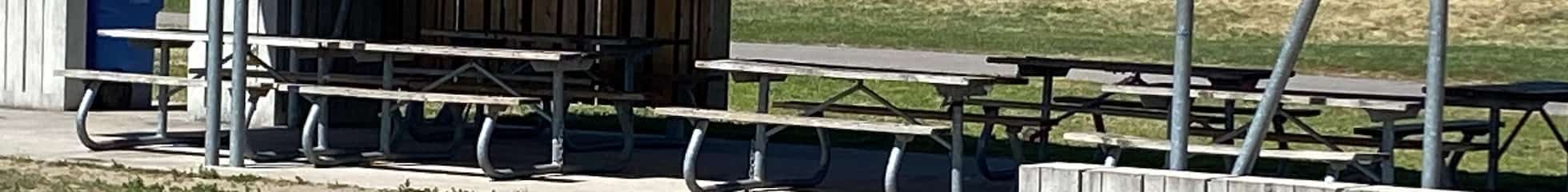 Chinguacousy Park picnic